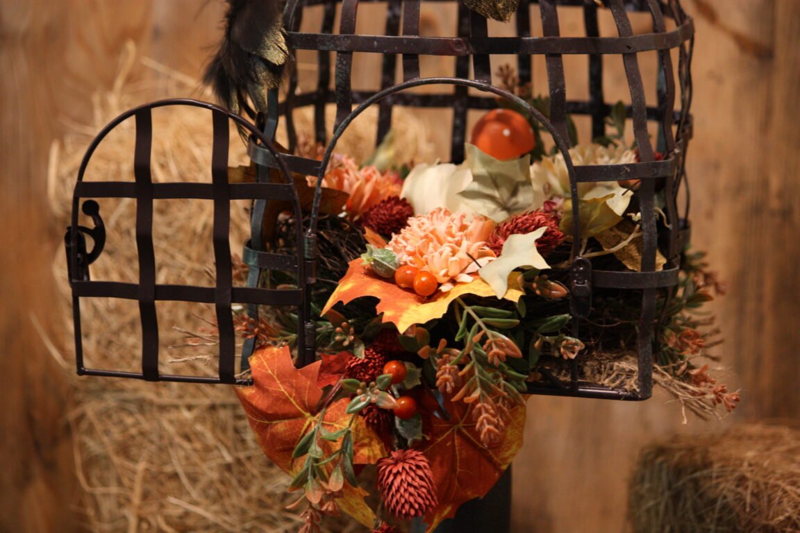 Décoration automnale - La cage à oiseaux avec ses papillons noirs – Image 2