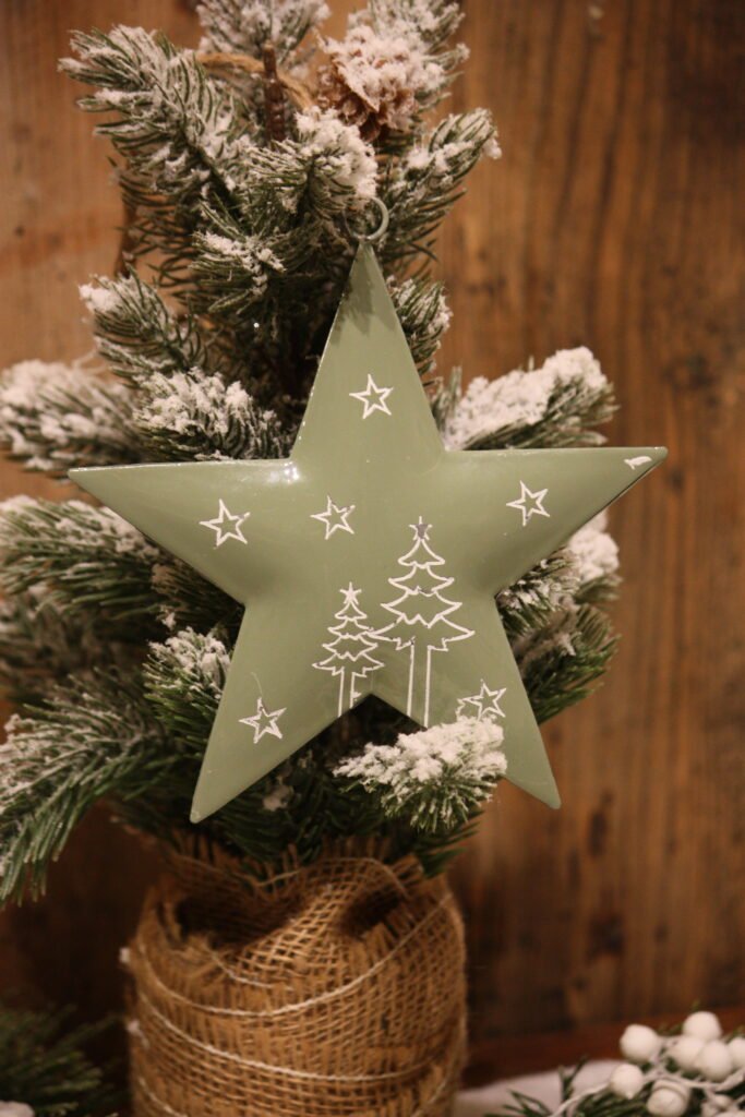 Suspension de Noël – Ma petite étoile verte